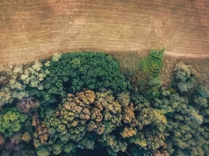 Rapid Environmental Assessment