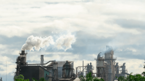 Carbon Offset dan Carbon Credit: Apa Manfaatnya?