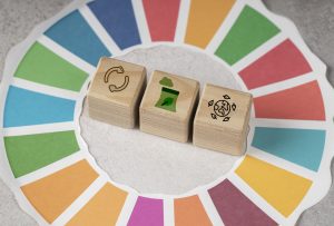 ESG Rating Readiness: Simak Langkah Ini untuk Hasil Maksimal!