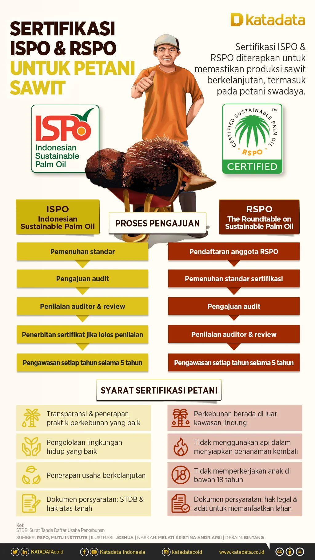 Infografik Sertifikasi ISPO & RSPO untuk Petani Sawit