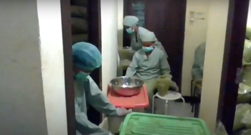 Pendampingan Sertifikasi Halal untuk Pabrik Olahan Daun Kelor CV Dapur Kelor​