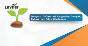 Kenali Deforestasi: Pengertian, Dampak, Bahaya, dan Kondisi di Indonesia