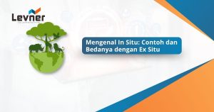 Mengenal In Situ: Contoh dan Bedanya dengan Ex Situ
